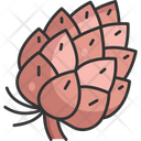 پیش‌نمایش فایل pine-cone-12872015 از پک فصل پاییز و ۲