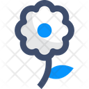 پیش‌نمایش فایل flower-2009510 از پک کشاورزی