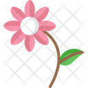 پیش‌نمایش فایل flower-2011786 از پک مزرعه هوشمند