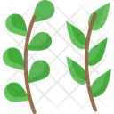پیش‌نمایش فایل leaf-2004689 از پک تابستان