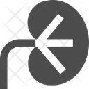 پیش‌نمایش فایل kidney-2374760 از پک کیت پزشکی، پایه و ۱