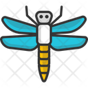پیش‌نمایش فایل dragon-fly-2503321 از پک فصل بهار
