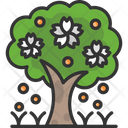 پیش‌نمایش فایل fruit-tree-2503323 از پک فصل بهار