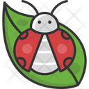 پیش‌نمایش فایل lady-bug-2503341 از پک فصل بهار