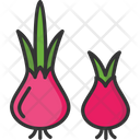 پیش‌نمایش فایل onion-2503324 از پک فصل بهار