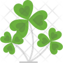 پیش‌نمایش فایل clover-2503480 از پک فصل بهار