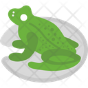 پیش‌نمایش فایل frog-2503502 از پک فصل بهار