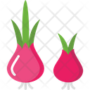 پیش‌نمایش فایل onion-2503471 از پک فصل بهار