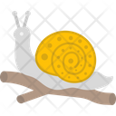 پیش‌نمایش فایل snail-2503486 از پک فصل بهار