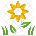 پیش‌نمایش فایل sunflower-2503472 از پک فصل بهار