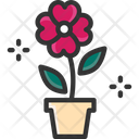 پیش‌نمایش فایل flower-plant-2531519 از پک عشق و ۲