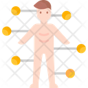 پیش‌نمایش فایل anatomy-3398388 از پک فناوری آینده