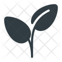 پیش‌نمایش فایل leaf-359 از پک طبیعت و محیط زیست