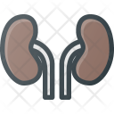 پیش‌نمایش فایل anatomy-13 از پک Medical & Healthcare 
