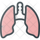 پیش‌نمایش فایل anatomy-14 از پک Medical & Healthcare 