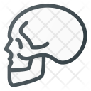 پیش‌نمایش فایل skull-30 از پک Medical & Healthcare 