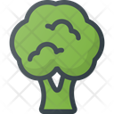 پیش‌نمایش فایل broccoli-50 از پک میوه و سبزیجات