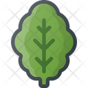 پیش‌نمایش فایل lettuce-7 از پک میوه و سبزیجات