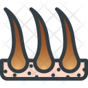 پیش‌نمایش فایل hair-care از پک زیبایی و اسپا