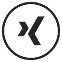 پیش‌نمایش فایل xing-23 از پک گلیف Peelicons