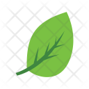 پیش‌نمایش فایل leaves-146 از پک اکو فلت