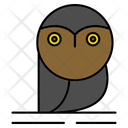 پیش‌نمایش فایل owl-363 از پک هالووین