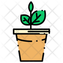 پیش‌نمایش فایل plant-650 از پک کشاورزی و باغبانی