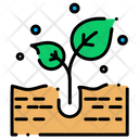 پیش‌نمایش فایل planting-66 از پک کشاورزی و باغبانی
