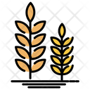 پیش‌نمایش فایل wheat-232 از پک کشاورزی و باغبانی