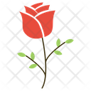 پیش‌نمایش فایل rose-243 از پک عشق و عروسی