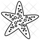پیش‌نمایش فایل starfish-127 از پک تابستان