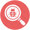 پیش‌نمایش فایل virus-scan-4807040 از پک امنیت