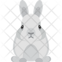 پیش‌نمایش فایل rabbit-4929893 از پک عید پاک