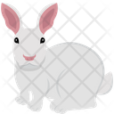 پیش‌نمایش فایل rabbit-5065719 از پک عید پاک