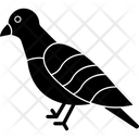 پیش‌نمایش فایل pirate-5717082 از پک طبیعت