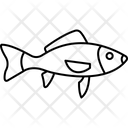 پیش‌نمایش فایل fish-5717194 از پک طبیعت