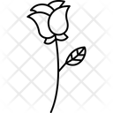 پیش‌نمایش فایل flower-5717195 از پک طبیعت