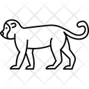 پیش‌نمایش فایل monkey-5717211 از پک طبیعت