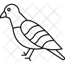 پیش‌نمایش فایل pirate-5717177 از پک طبیعت