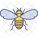 پیش‌نمایش فایل bee-5716477 از پک طبیعت