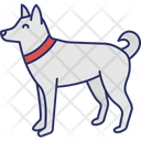 پیش‌نمایش فایل dog-5716491 از پک طبیعت