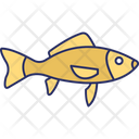پیش‌نمایش فایل fish-5716495 از پک طبیعت