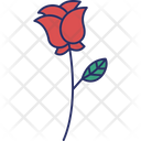 پیش‌نمایش فایل flower-5716496 از پک طبیعت