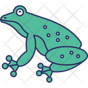 پیش‌نمایش فایل frog-5716498 از پک طبیعت