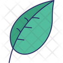 پیش‌نمایش فایل green-leaf-5716503 از پک طبیعت