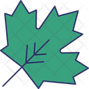 پیش‌نمایش فایل maple-leaf-5716511 از پک طبیعت