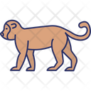 پیش‌نمایش فایل monkey-5716512 از پک طبیعت