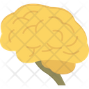 پیش‌نمایش فایل brain-6485600 از پک هالووین