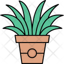 پیش‌نمایش فایل houseplant-6802332 از پک سرگرمی‌ها