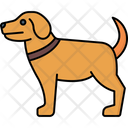 پیش‌نمایش فایل dog-6863953 از پک سال نو چینی